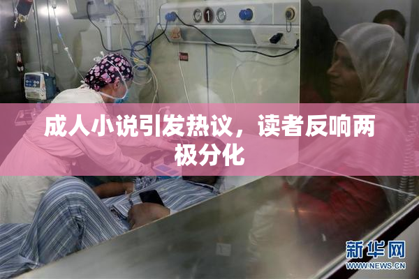 成人小说引发热议，读者反响两极分化