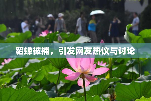 貂蝉被捕，引发网友热议与讨论