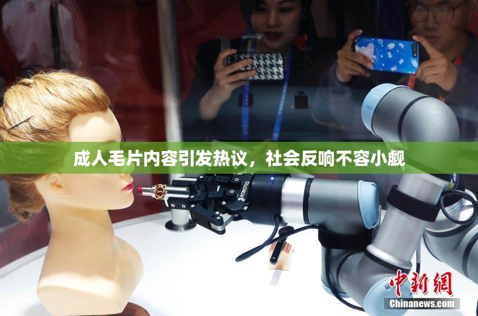 成人毛片内容引发热议，社会反响不容小觑