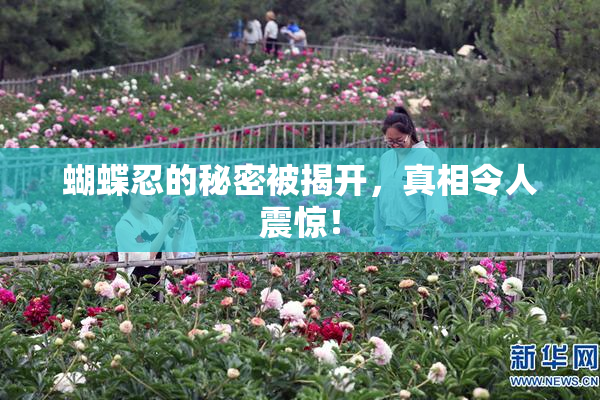 蝴蝶忍的秘密被揭开，真相令人震惊！