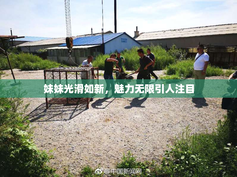妹妹光滑如新，魅力无限引人注目