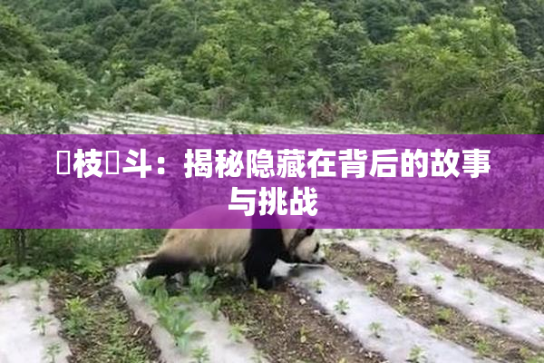 狛枝凪斗：揭秘隐藏在背后的故事与挑战