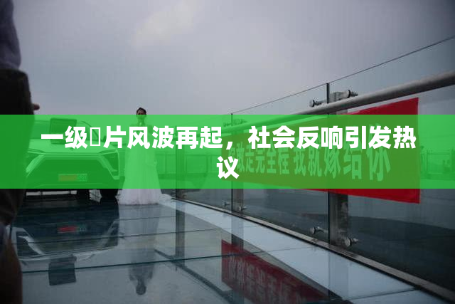一级婬片风波再起，社会反响引发热议