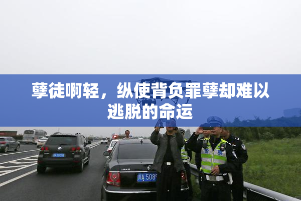 孽徒啊轻，纵使背负罪孽却难以逃脱的命运