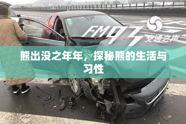 熊出没之年年，探秘熊的生活与习性