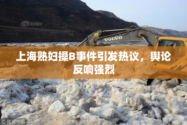 上海熟妇搡B事件引发热议，舆论反响强烈
