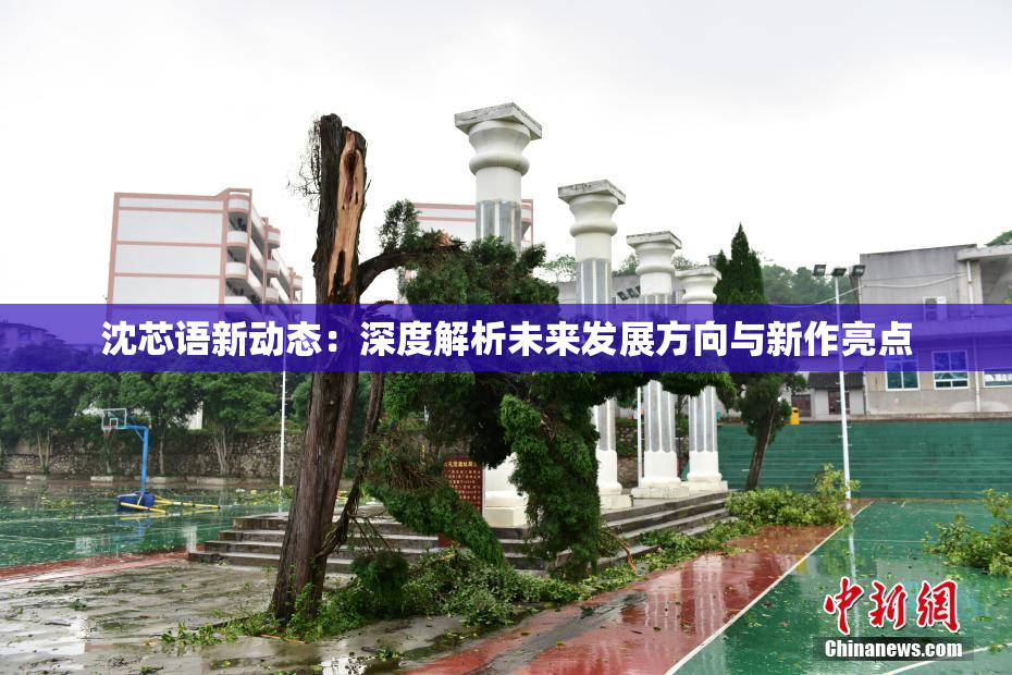 沈芯语新动态：深度解析未来发展方向与新作亮点