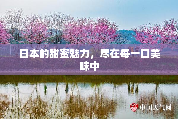 日本的甜蜜魅力，尽在每一口美味中