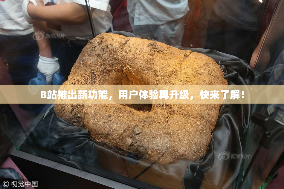 B站推出新功能，用户体验再升级，快来了解！