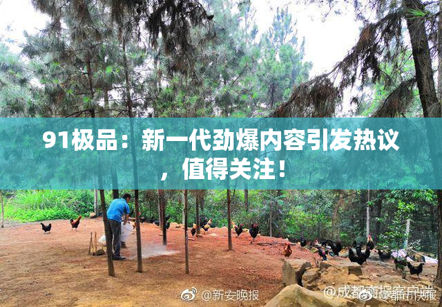 91极品：新一代劲爆内容引发热议，值得关注！