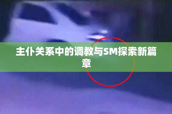主仆关系中的调教与SM探索新篇章