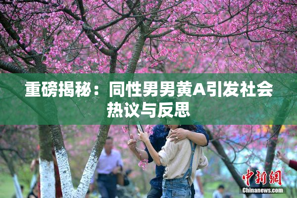 重磅揭秘：同性男男黄A引发社会热议与反思
