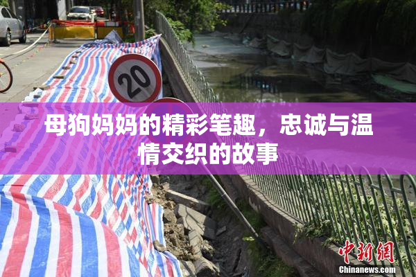 母狗妈妈的精彩笔趣，忠诚与温情交织的故事
