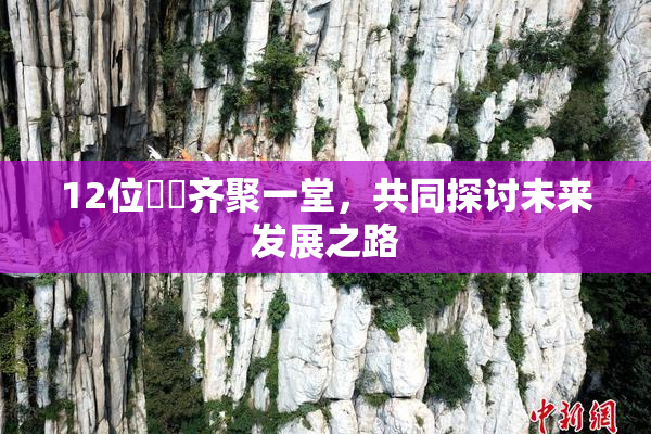12位妺妺齐聚一堂，共同探讨未来发展之路