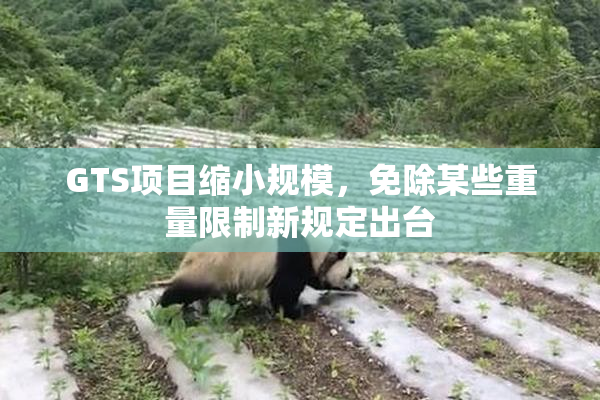 GTS项目缩小规模，免除某些重量限制新规定出台