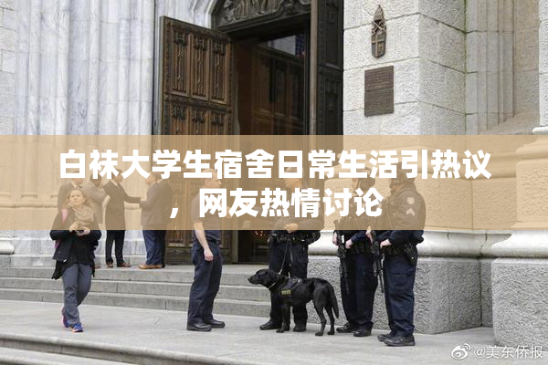 白袜大学生宿舍日常生活引热议，网友热情讨论