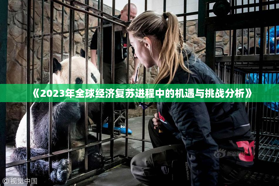 《2023年全球经济复苏进程中的机遇与挑战分析》