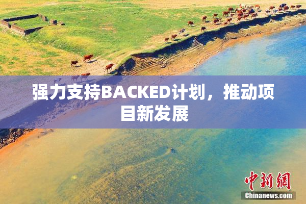 强力支持BACKED计划，推动项目新发展