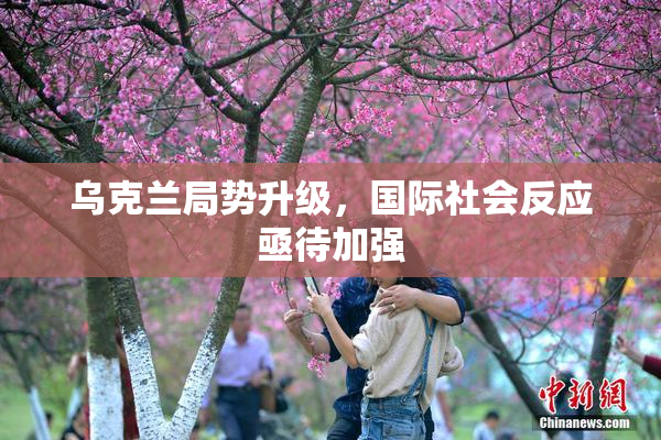 乌克兰局势升级，国际社会反应亟待加强