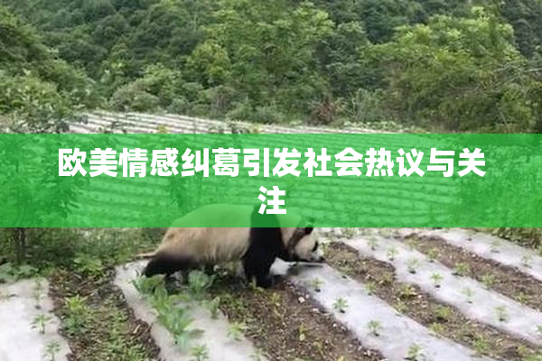 欧美情感纠葛引发社会热议与关注