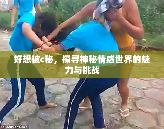 好想被c秘，探寻神秘情感世界的魅力与挑战