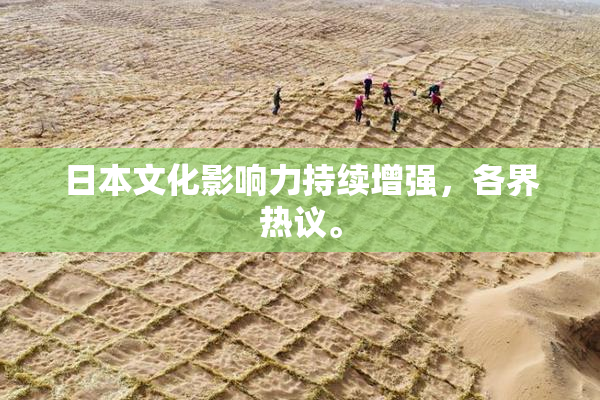日本文化影响力持续增强，各界热议。