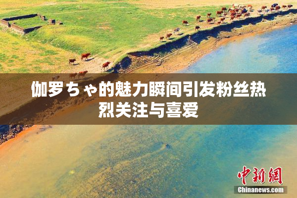 伽罗ちゃ的魅力瞬间引发粉丝热烈关注与喜爱