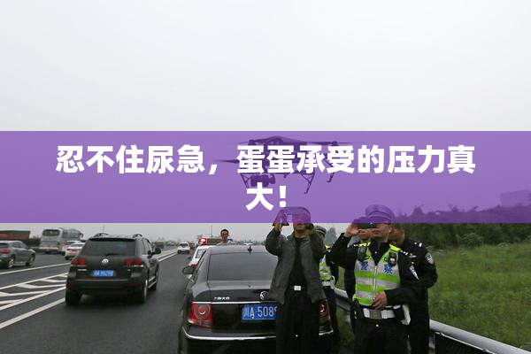 忍不住尿急，蛋蛋承受的压力真大！