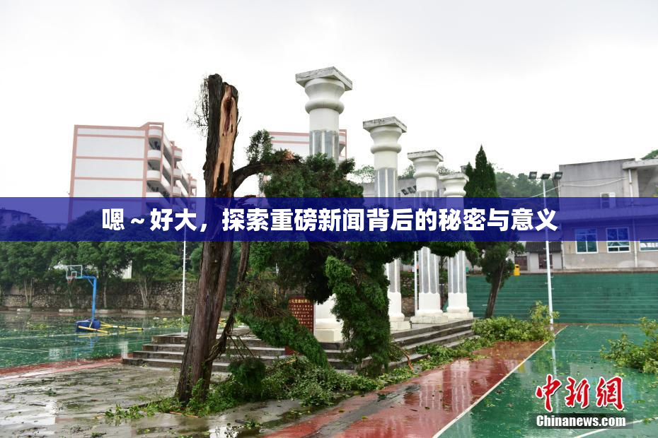嗯～好大，探索重磅新闻背后的秘密与意义