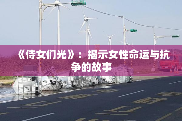 《侍女们光》：揭示女性命运与抗争的故事