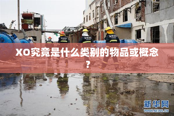 XO究竟是什么类别的物品或概念？