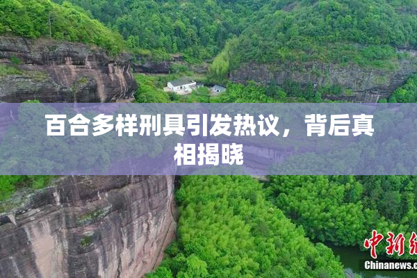 百合多样刑具引发热议，背后真相揭晓