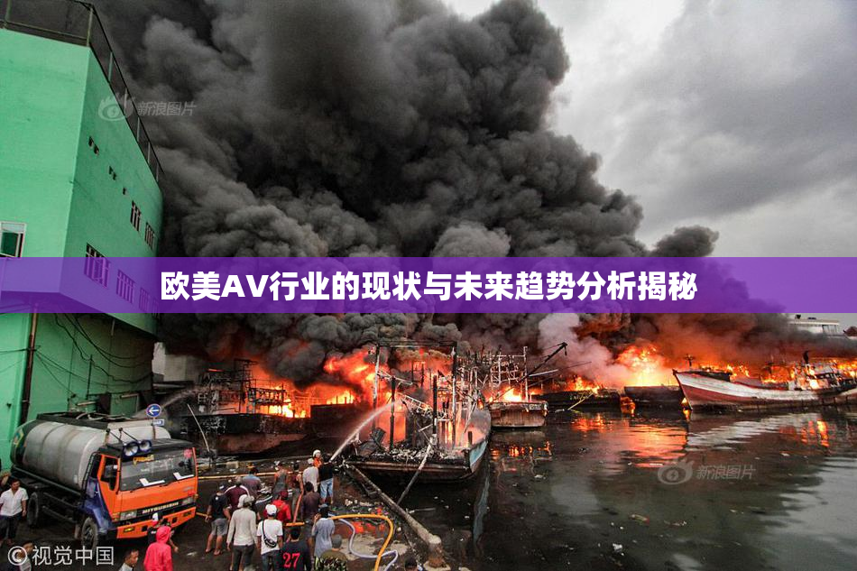 欧美AV行业的现状与未来趋势分析揭秘