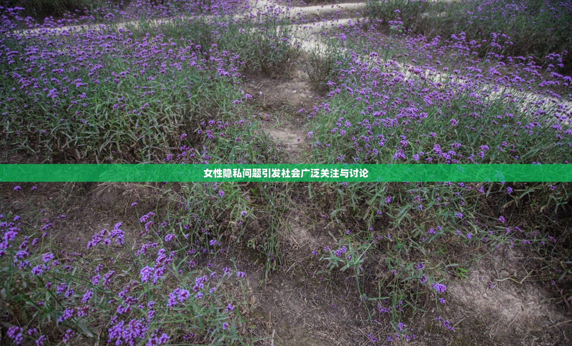女性隐私问题引发社会广泛关注与讨论