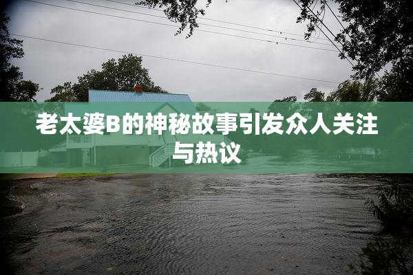 老太婆B的神秘故事引发众人关注与热议