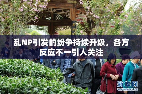 乱NP引发的纷争持续升级，各方反应不一引人关注