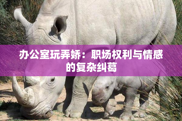 办公室玩弄娇：职场权利与情感的复杂纠葛