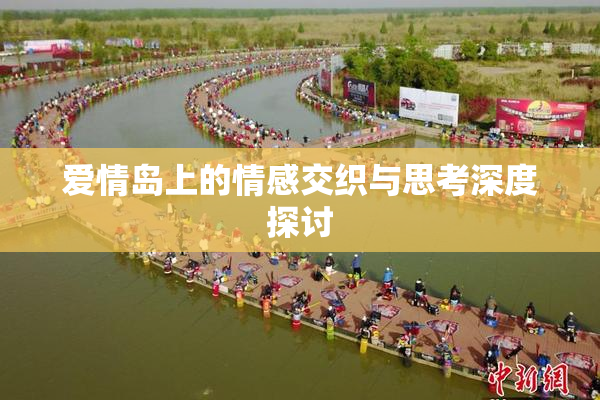 爱情岛上的情感交织与思考深度探讨