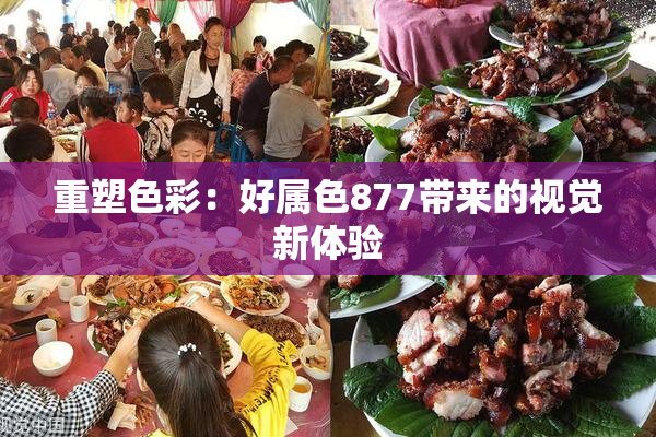 重塑色彩：好属色877带来的视觉新体验