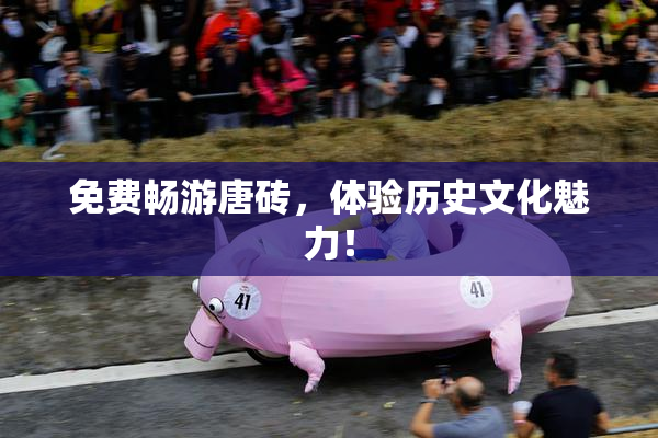 免费畅游唐砖，体验历史文化魅力！