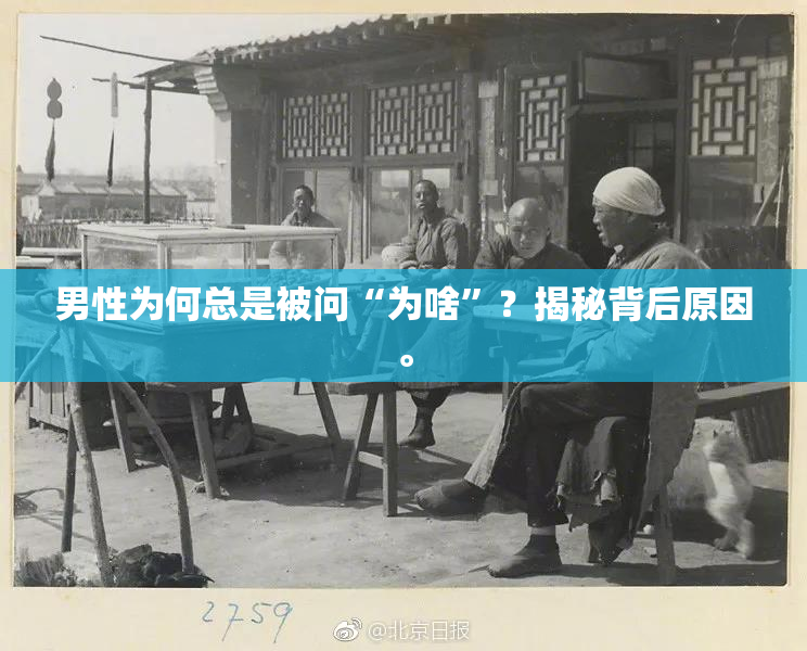 男性为何总是被问“为啥”？揭秘背后原因。
