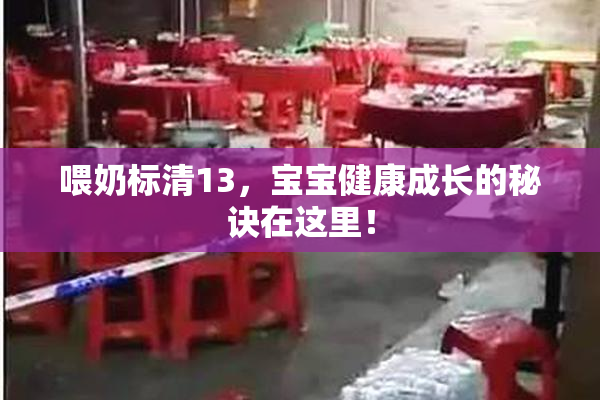 喂奶标清13，宝宝健康成长的秘诀在这里！