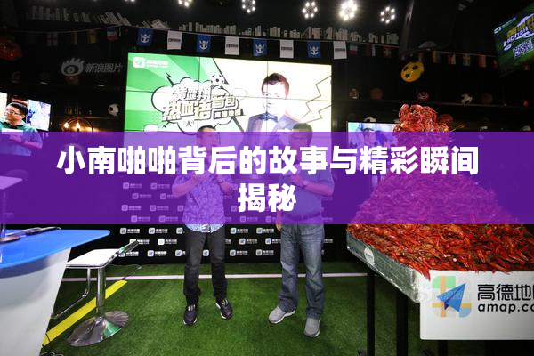 小南啪啪背后的故事与精彩瞬间揭秘