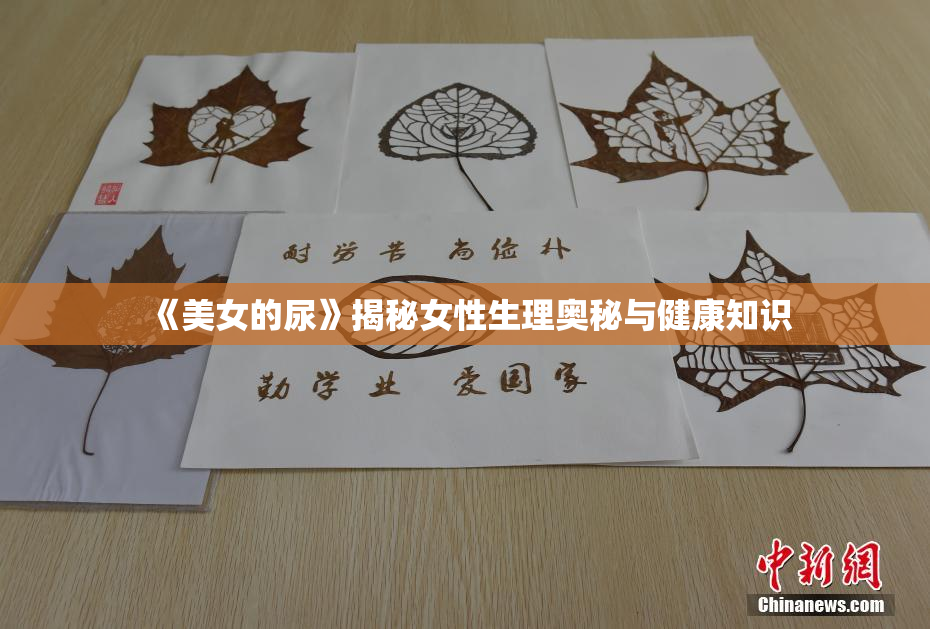 《美女的尿》揭秘女性生理奥秘与健康知识