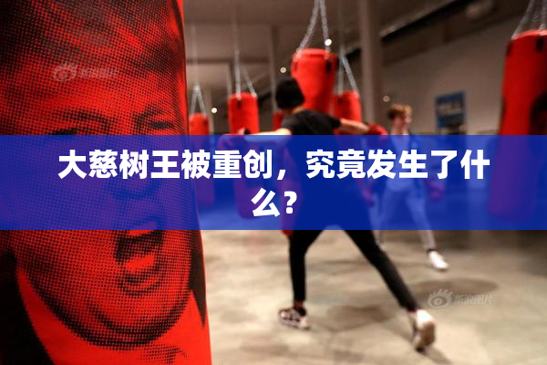 大慈树王被重创，究竟发生了什么？