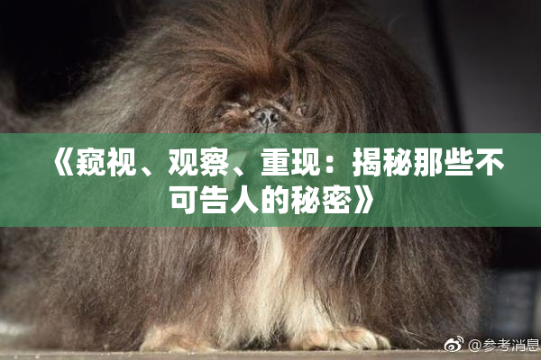 《窥视、观察、重现：揭秘那些不可告人的秘密》