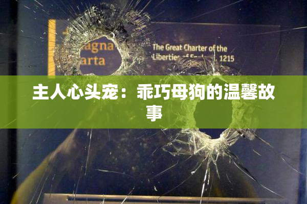 主人心头宠：乖巧母狗的温馨故事