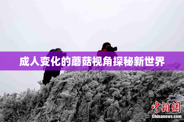 成人变化的蘑菇视角探秘新世界