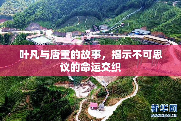叶凡与唐重的故事，揭示不可思议的命运交织