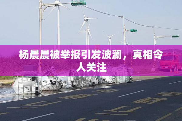 杨晨晨被举报引发波澜，真相令人关注